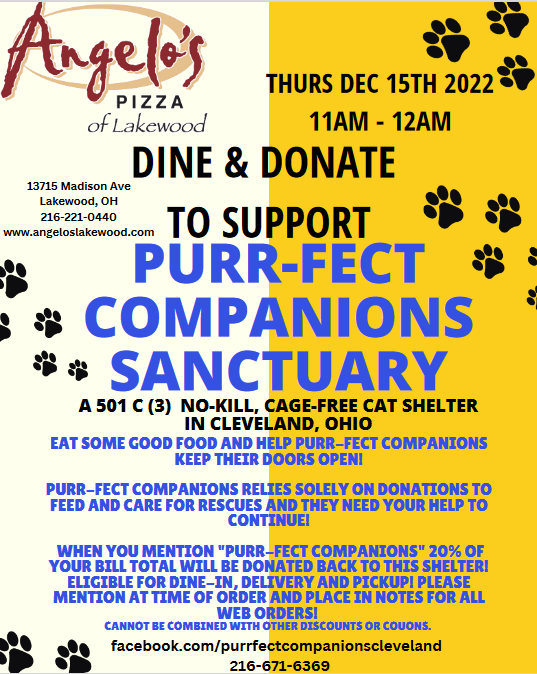 angelos-fundraiser-22.png